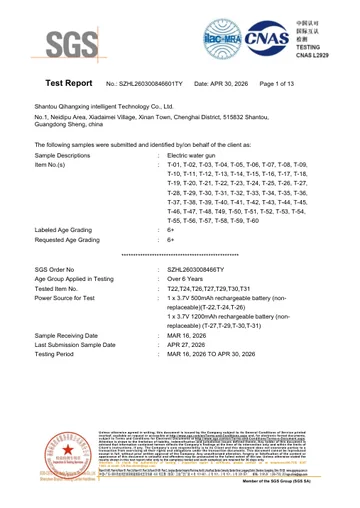 EN IEC 62115 · Test report