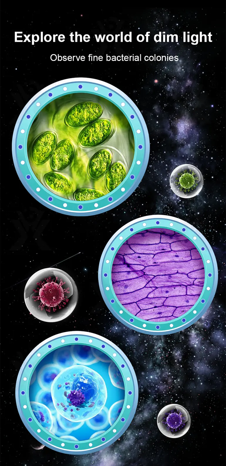 Microscope Toys (TB-4454172) — illustrated product details, panel 8