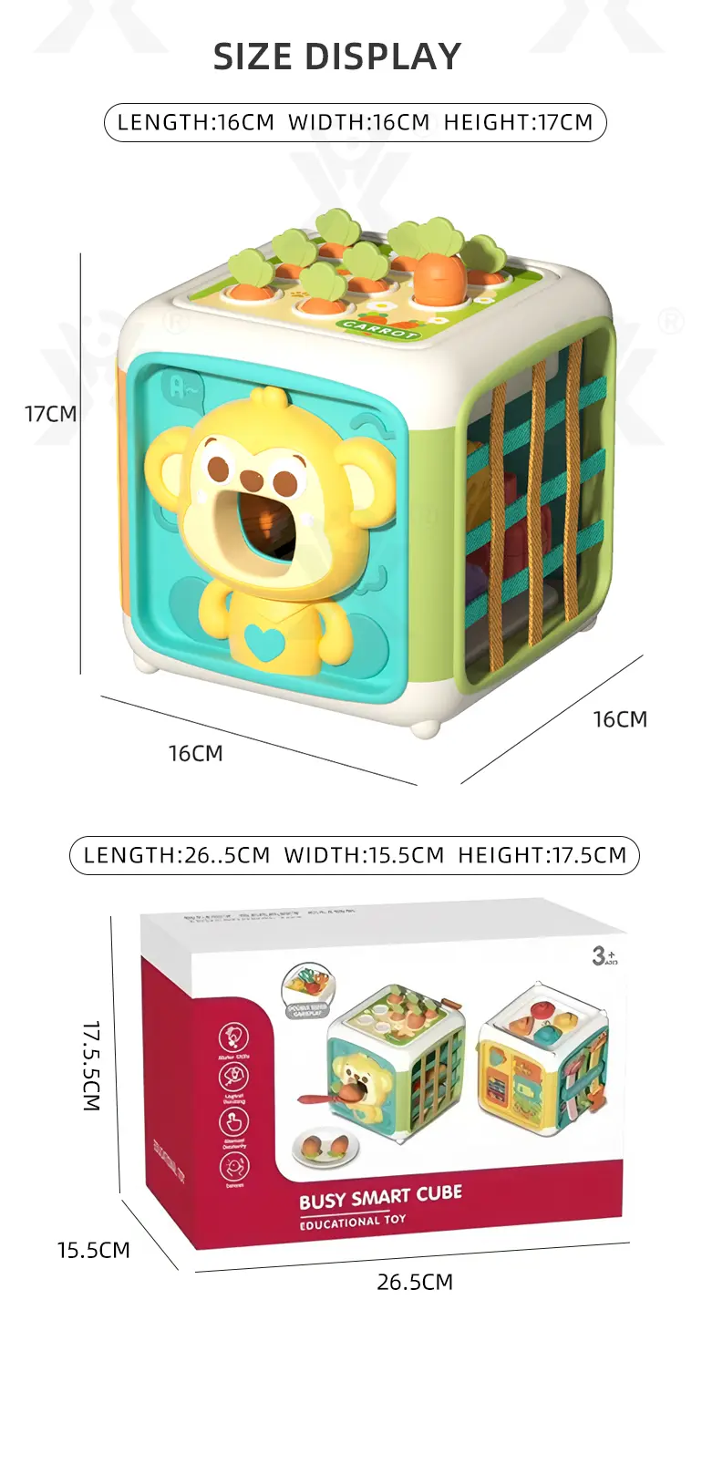 Educational Toys (TB-4934208) — illustrated product details, panel 10