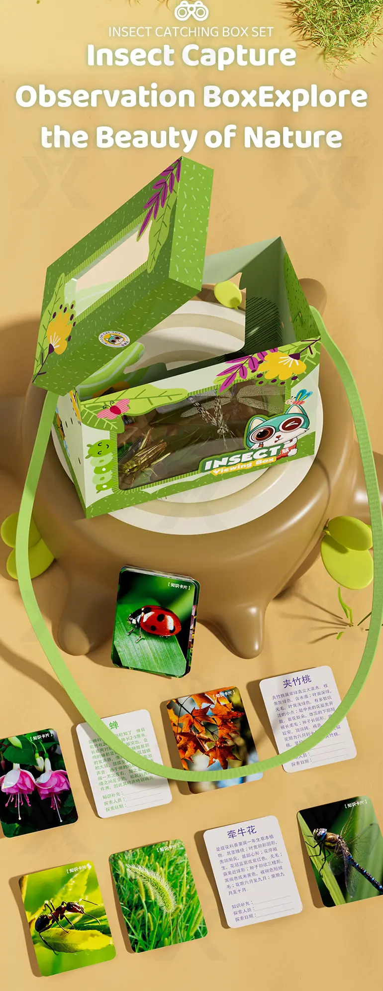 Complete 12-in-1 Outdoor Diy Exploration Set (TB-4469319) — illustrated product details, panel 12