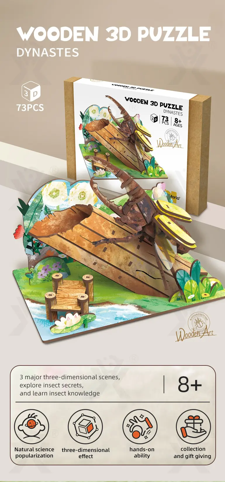 3D Insect Wooden Puzzle Supplier, STEM Toy– Improves Creativity and Fine Motor Skills (TB-4275849) — illustrated product details, panel 1