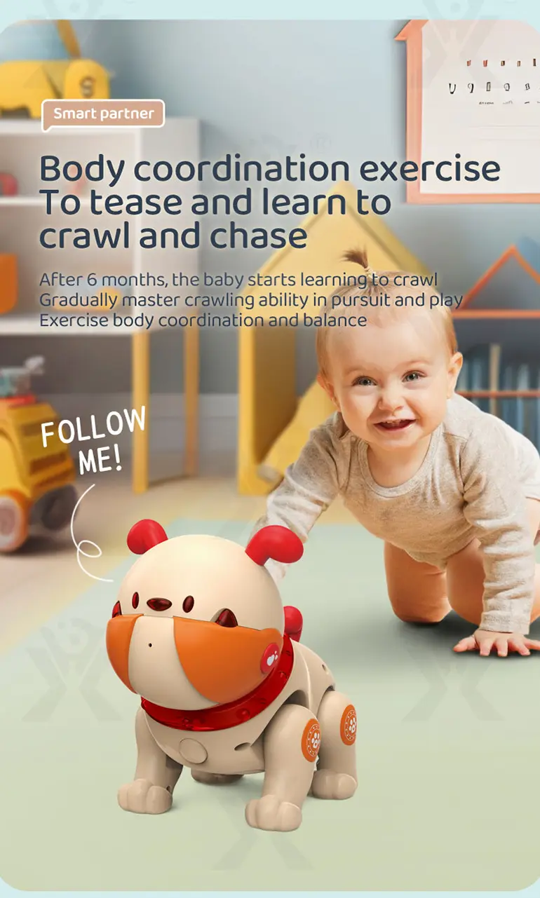 Interactive RC Robot Dog Toy (TB-4213489) — illustrated product details, panel 2
