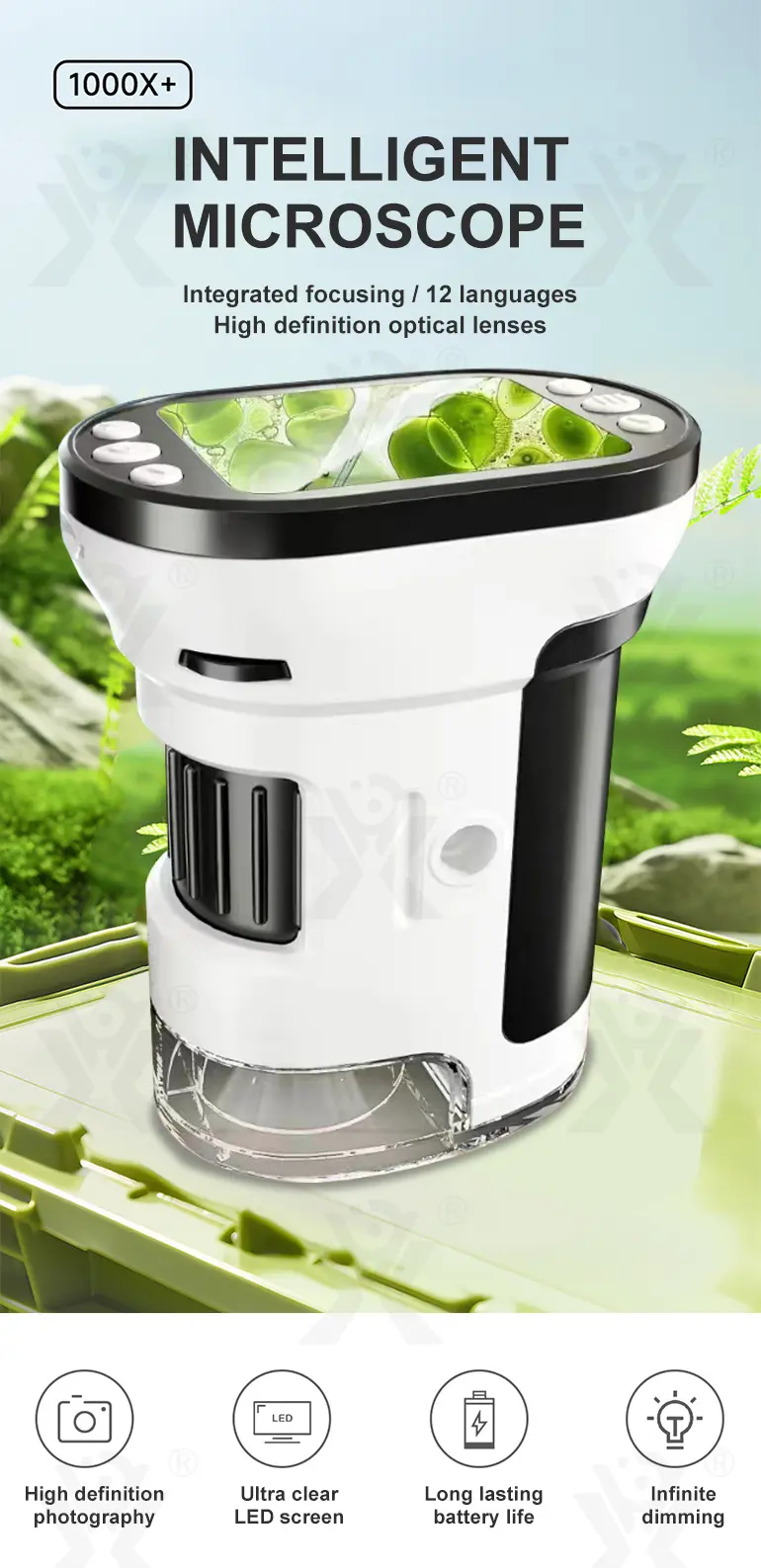 Microscope Toys (TB-4358602) — illustrated product details, panel 1