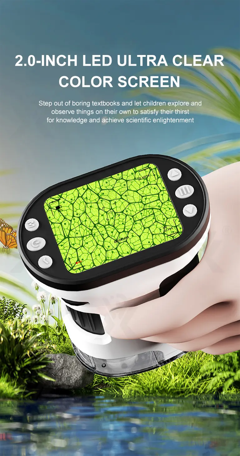 Microscope Toys (TB-4358602) — illustrated product details, panel 3