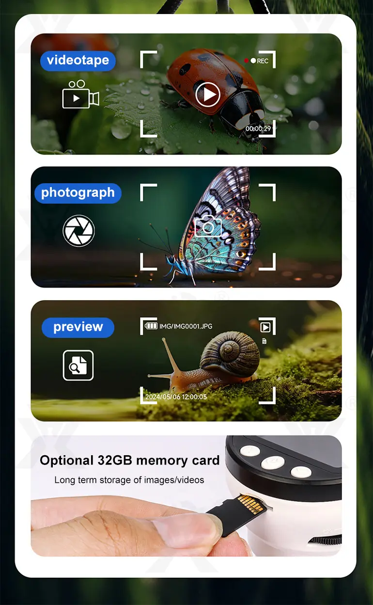 Microscope Toys (TB-4358602) — illustrated product details, panel 5