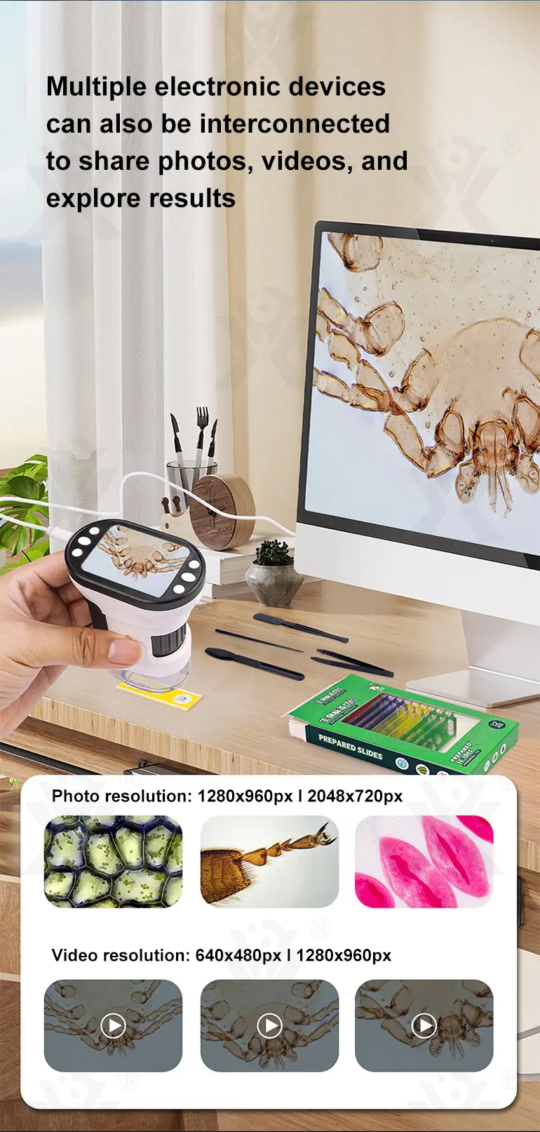 Microscope Toys (TB-4358602) — illustrated product details, panel 7