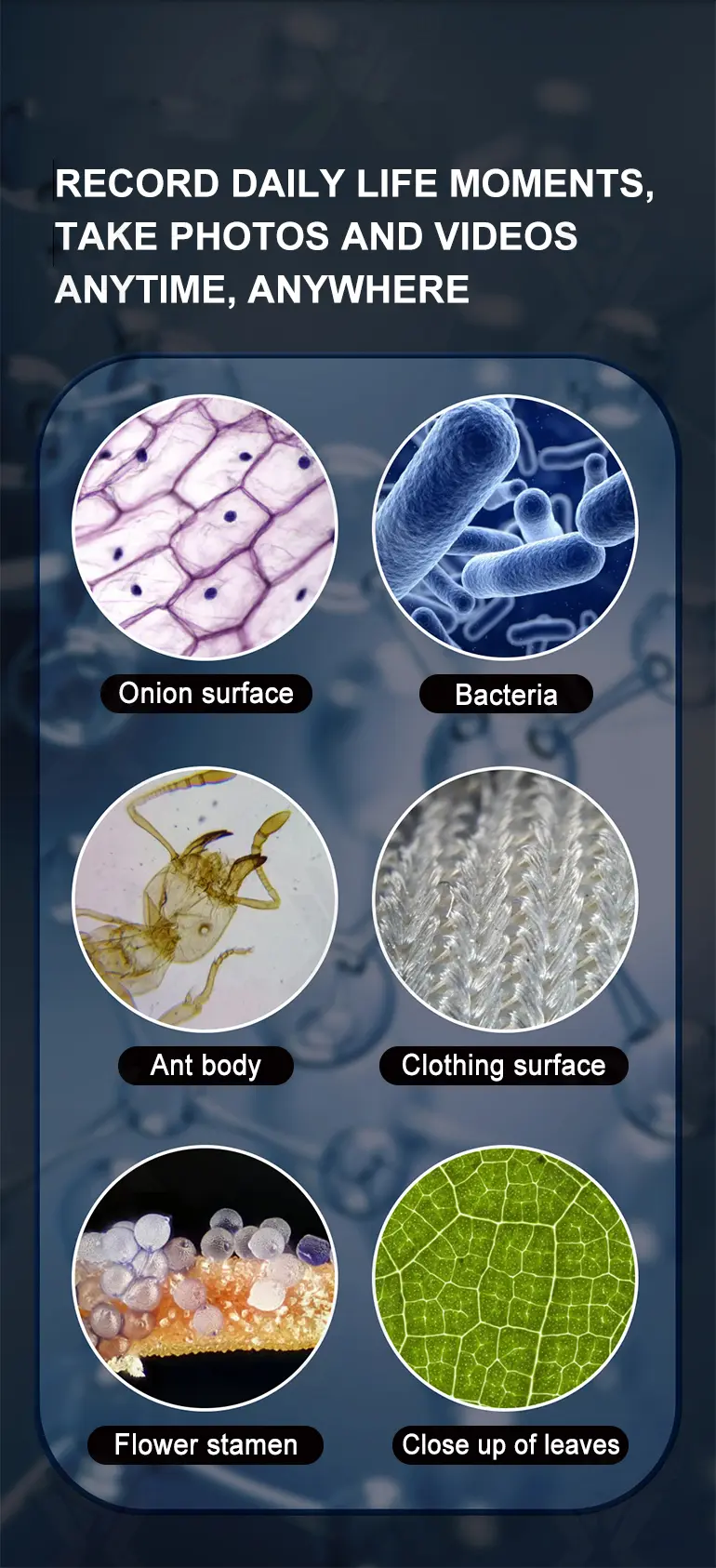 Microscope Toys (TB-4358602) — illustrated product details, panel 9