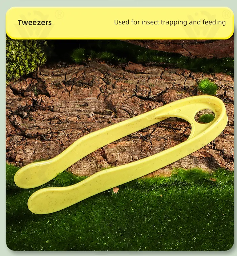 Outdoor Exploration Toy, Insect Capture Toy Supply (TB-4865279) — illustrated product details, panel 6