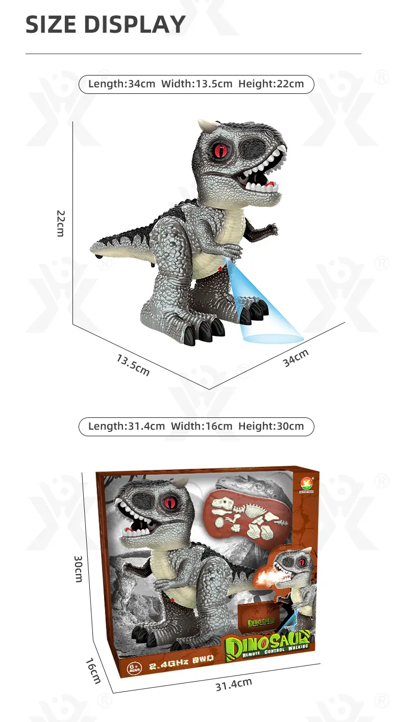 2.4GHz Remote Control Dinosaur Toy with Spray (TB-4169503) — illustrated product details, panel 8
