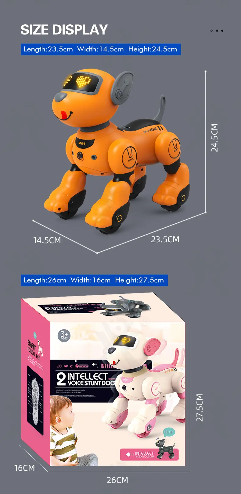 Voice-Controlled Robot Dog Toy with Smart Follow, RC (TB-4162529) — illustrated product details, panel 11