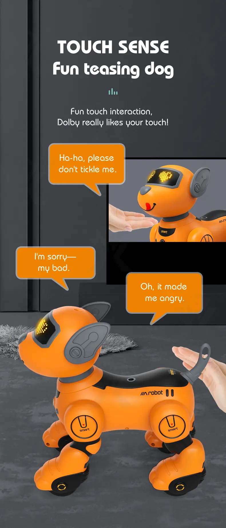 Voice-Controlled Robot Dog Toy with Smart Follow, RC (TB-4162529) — illustrated product details, panel 4