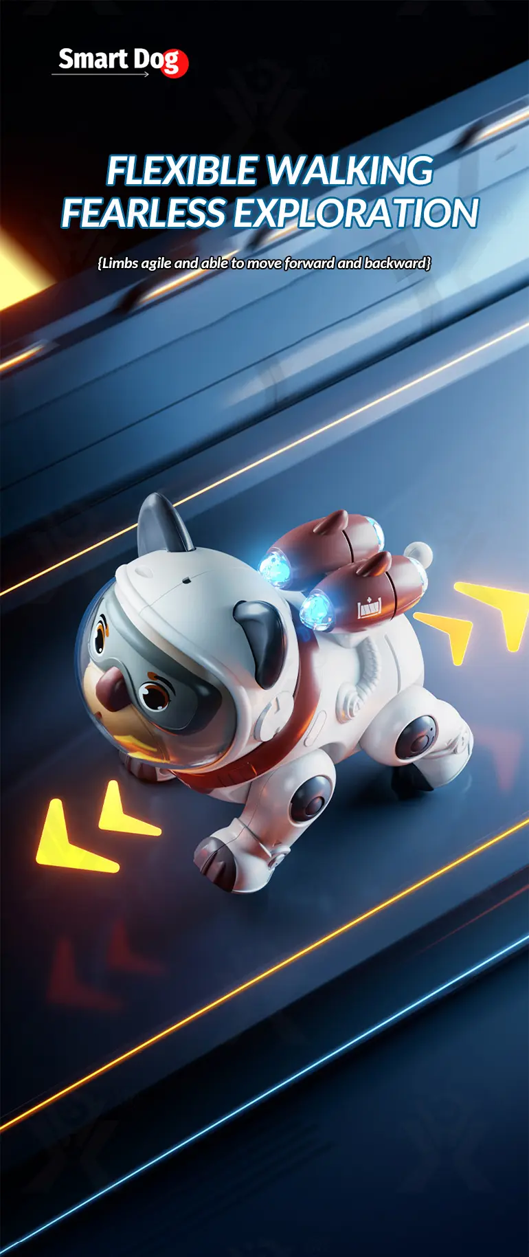 Cute Mechanical Dog Toy with Remote & Lights (TB-4400999) — illustrated product details, panel 3
