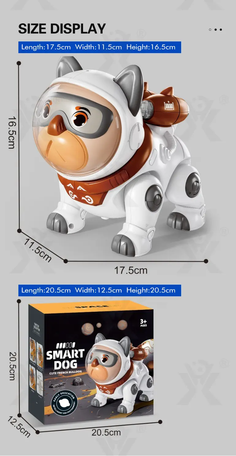 Cute Mechanical Dog Toy with Remote & Lights (TB-4400999) — illustrated product details, panel 9