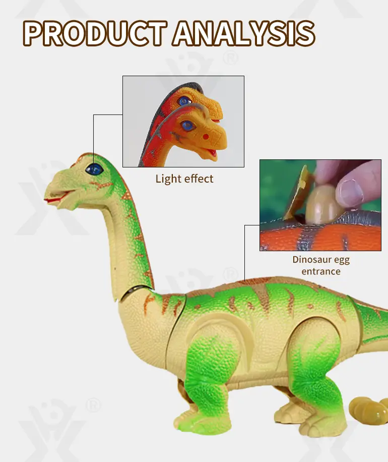 Electric Two-Head Dinosaur Toy, Brachiosaurus (TB-0991016) — illustrated product details, panel 3