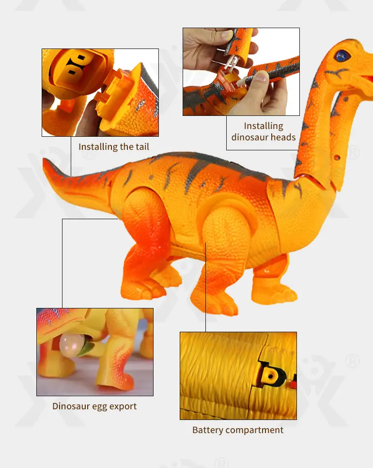 Electric Two-Head Dinosaur Toy, Brachiosaurus (TB-0991016) — illustrated product details, panel 4