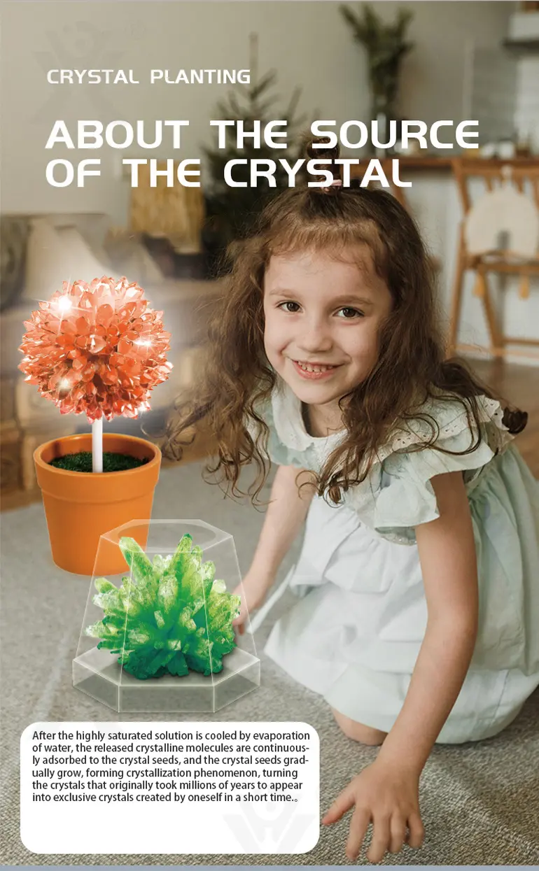 Mini Magic Christmas Tree, Crystal Experiment Kit Toy (TB-4399727) — illustrated product details, panel 3