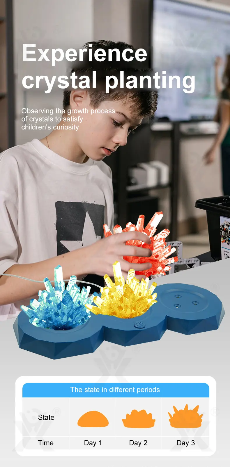 Crystal Planting Kits, Crystal Growing Kit (TB-4399725) — illustrated product details, panel 4