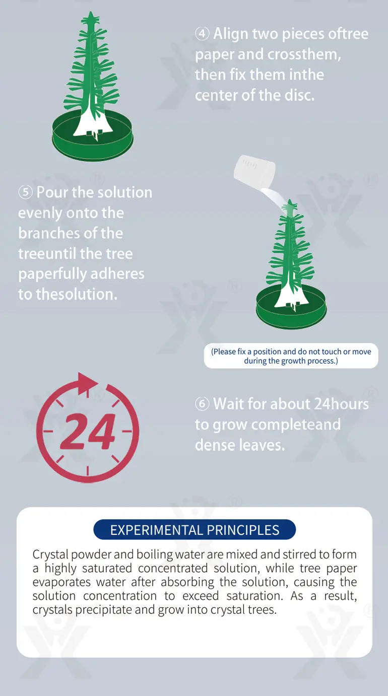 Mini Magic Christmas Tree, Crystal Experiment Kit Toy (TB-4399727) — illustrated product details, panel 8