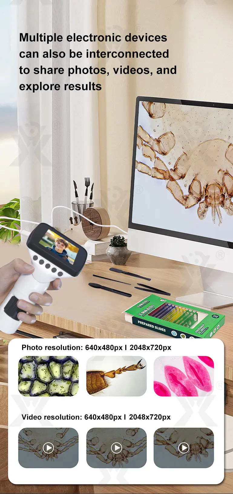 3-in-1 Carton Electron Microscope (TB-4833227) — illustrated product details, panel 5