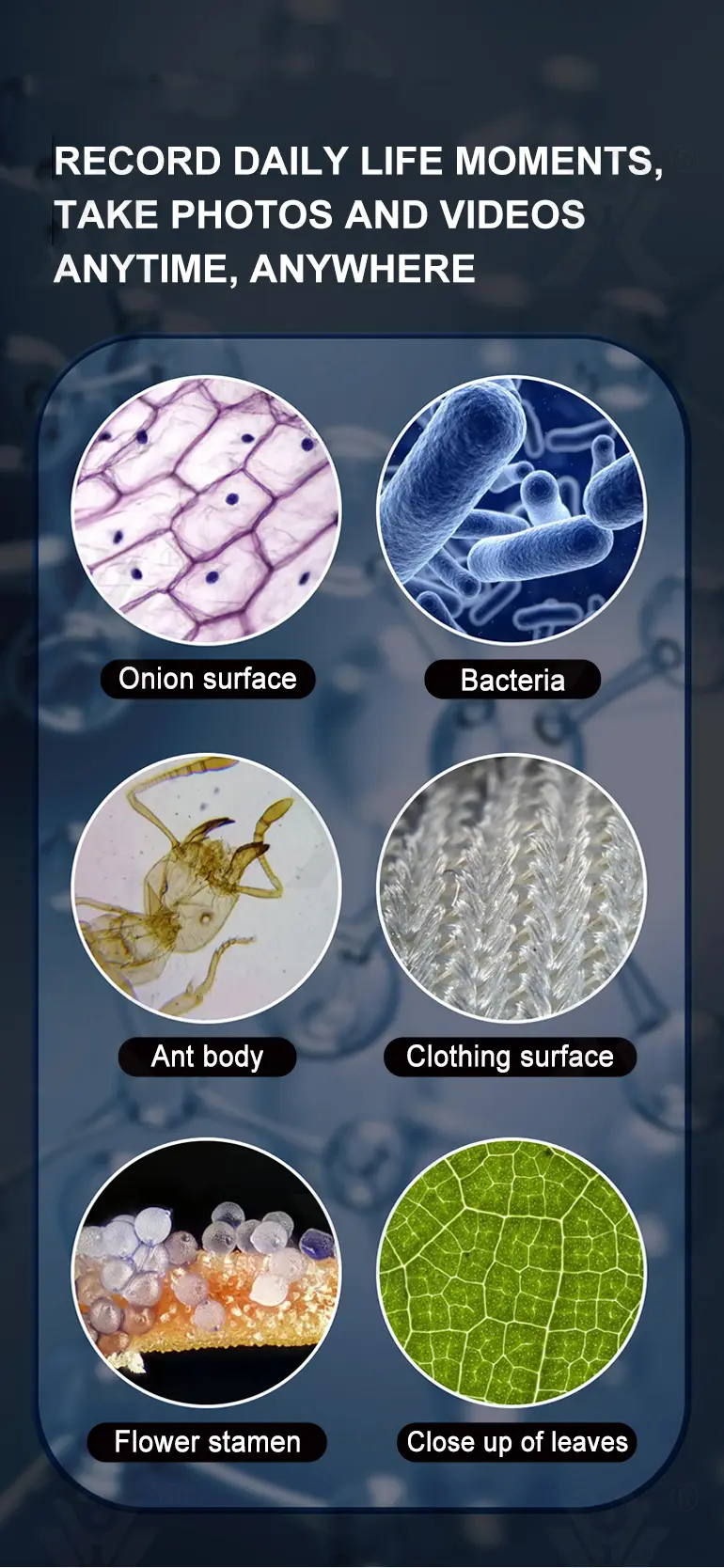 3-in-1 Carton Electron Microscope (TB-4833227) — illustrated product details, panel 6