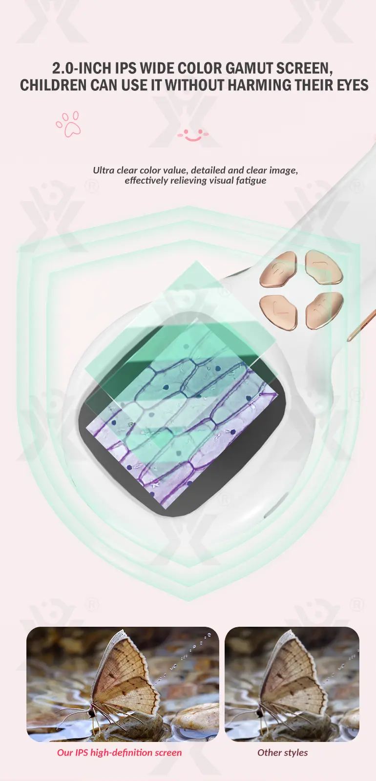 Mini Handheld Digital Microscope, Portable (TB-4907860) — illustrated product details, panel 2