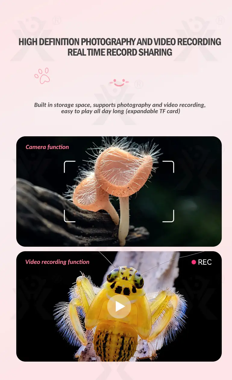 Mini Handheld Digital Microscope, Portable (TB-4907860) — illustrated product details, panel 3