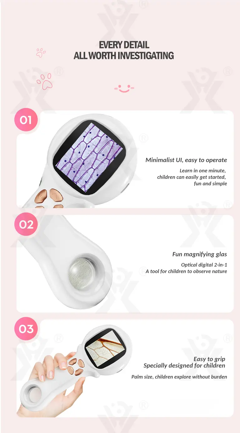 Mini Handheld Digital Microscope, Portable (TB-4907860) — illustrated product details, panel 5