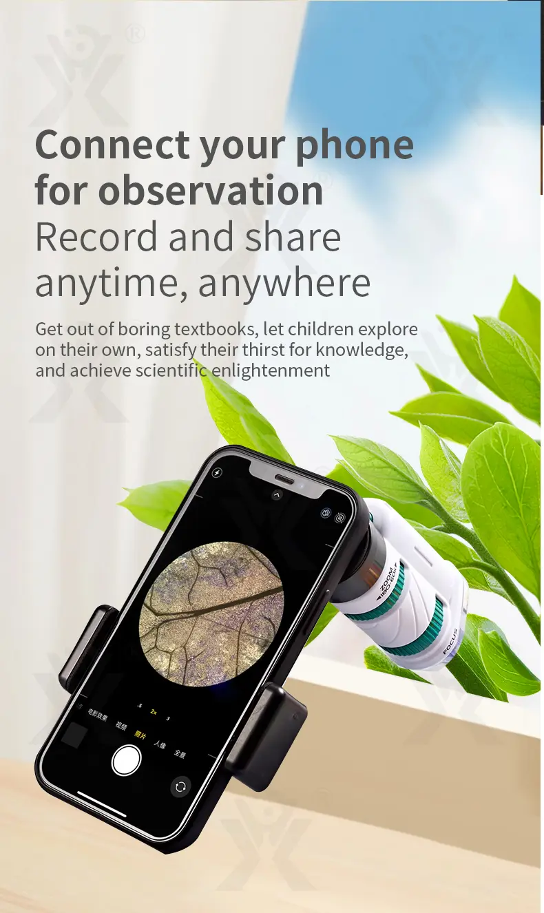 Portable Microscope Specimen Toy, Kids Microscope (TB-4266517) — illustrated product details, panel 3