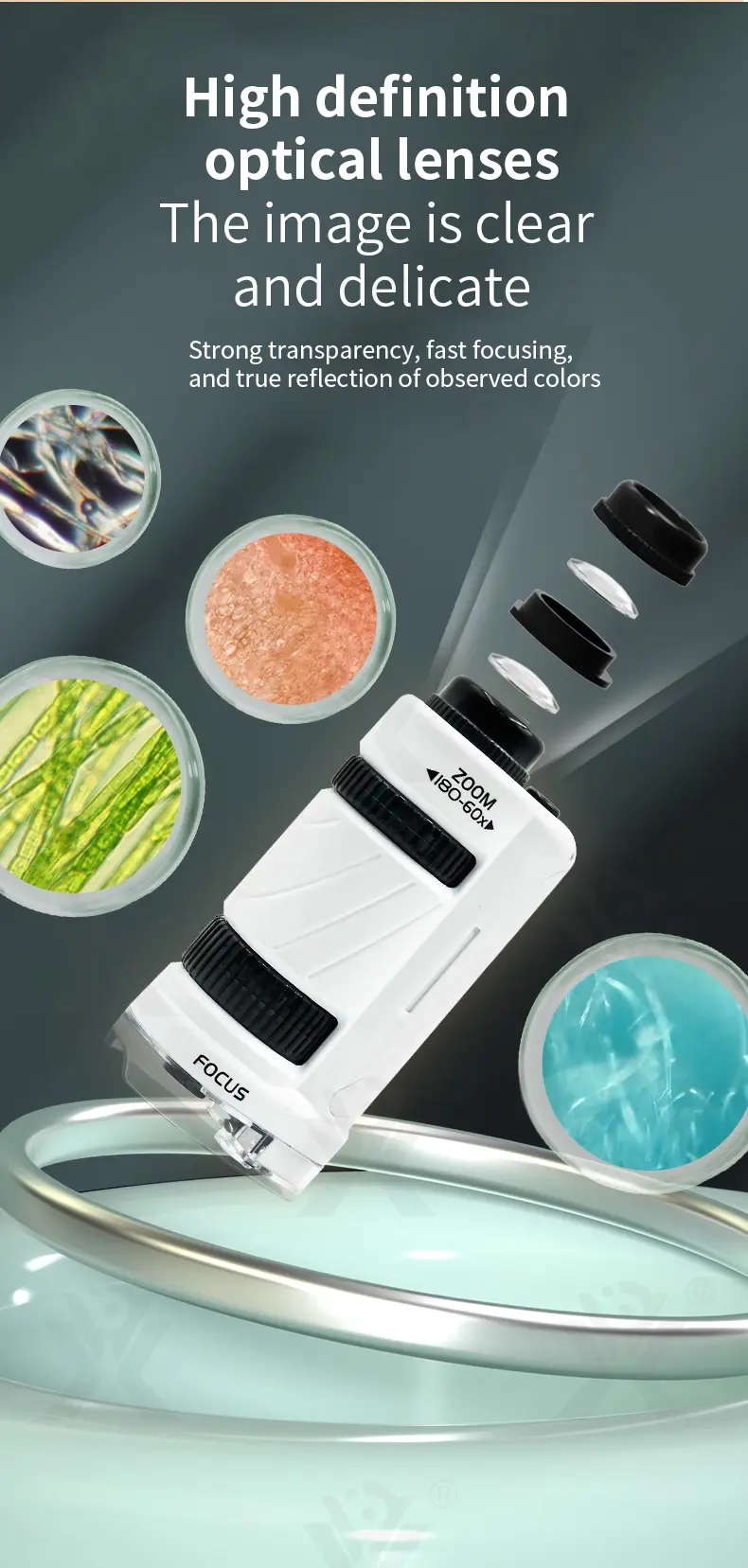 Portable Microscope Specimen Toy, Kids Microscope (TB-4266517) — illustrated product details, panel 4