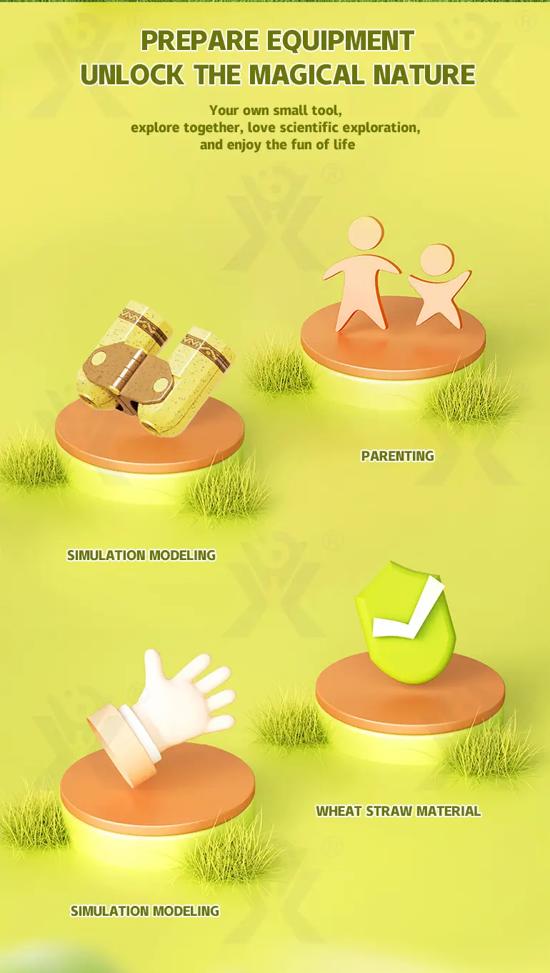 Outdoor Insect Box for Kids to Observe The Insect World (TB-4387774) — illustrated product details, panel 2