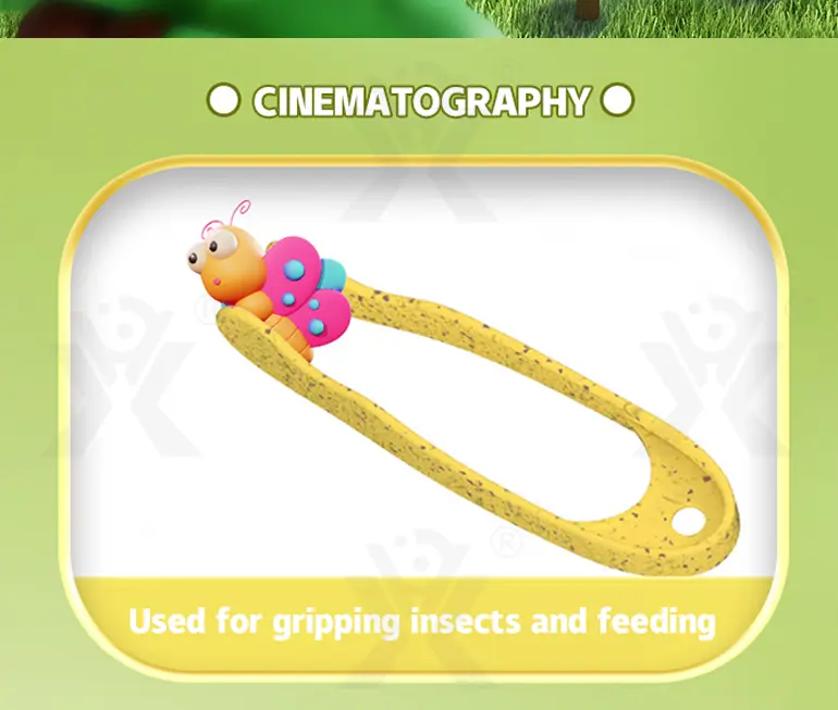 Outdoor Insect Box for Kids to Observe The Insect World (TB-4387774) — illustrated product details, panel 5