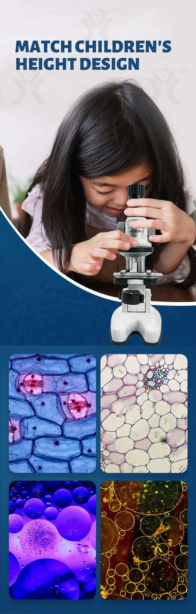Scientific Microscope Toy Set -Toy Supplier Wholesale (TB-4275315) — illustrated product details, panel 5