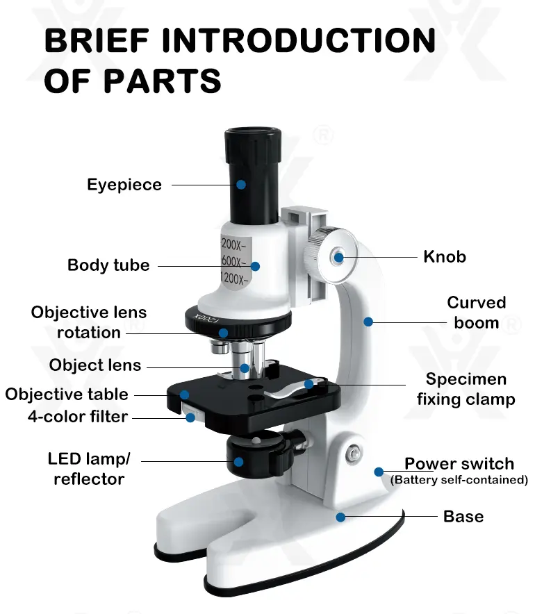 Biological Microscope Toy for Kids, Students (TB-4275314) — illustrated product details, panel 8