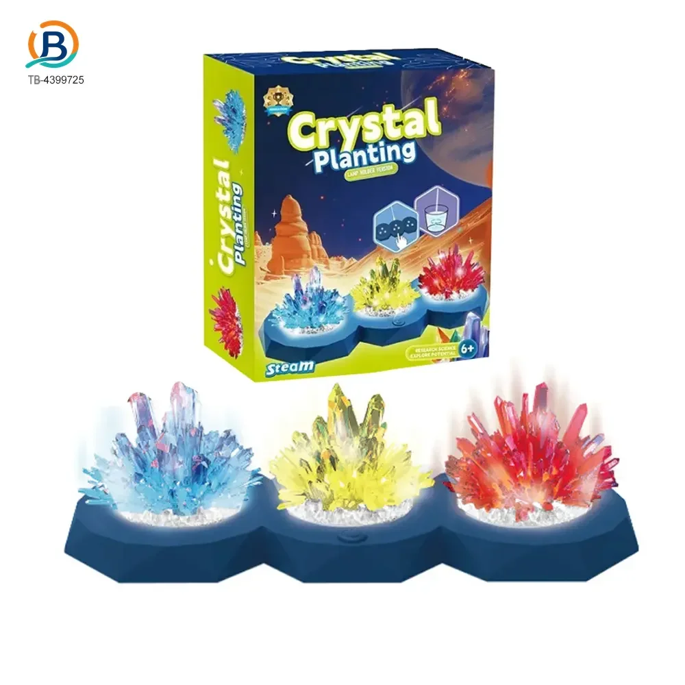 Crystal Planting Kits, Crystal Growing Kit (TB-4399725) — product photograph 3