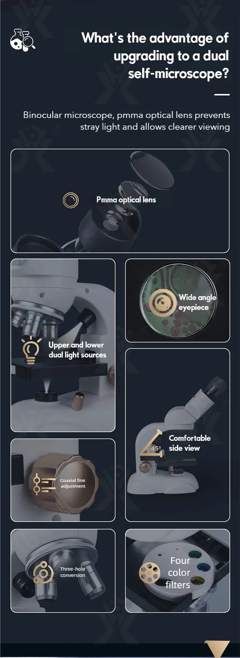 Binocular Microscope Toy, Suitable For Teaching and Playing (TB-5147035) — illustrated product details, panel 2