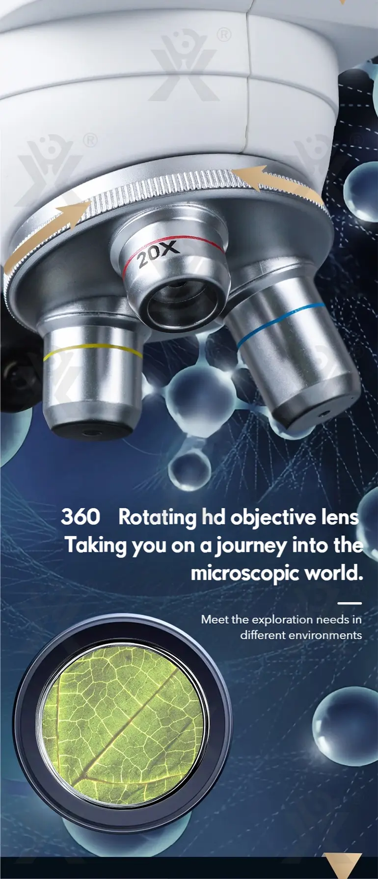 Binocular Microscope Toy, Suitable For Teaching and Playing (TB-5147035) — illustrated product details, panel 5