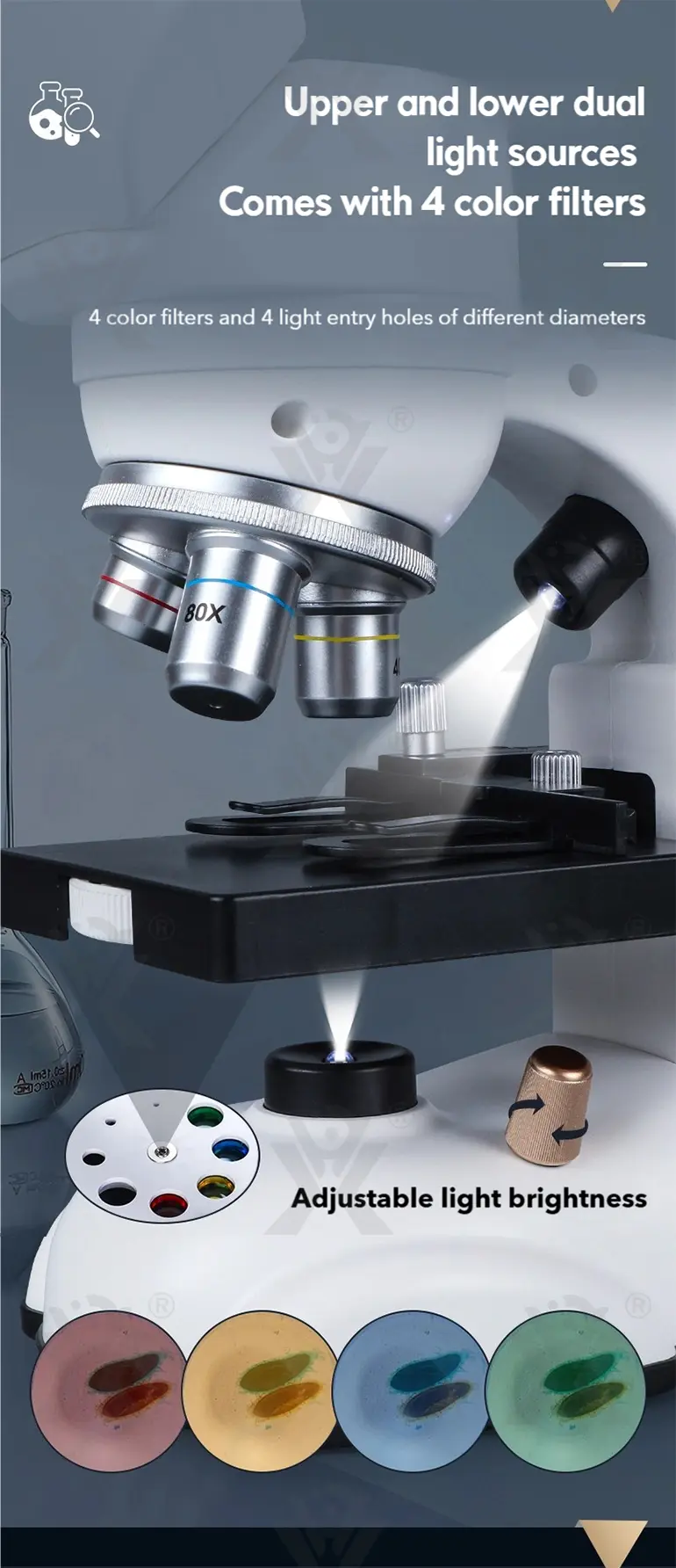 Binocular Microscope Toy, Suitable For Teaching and Playing (TB-5147035) — illustrated product details, panel 6