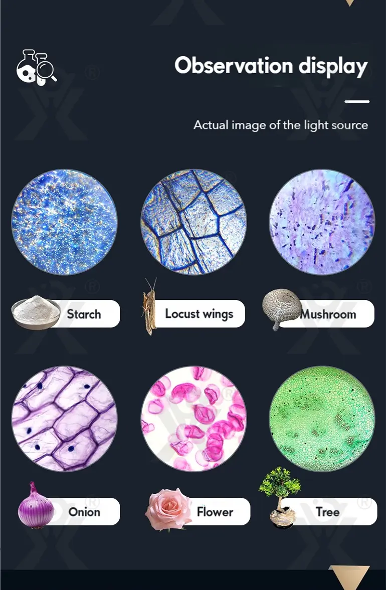 Binocular Microscope Toy, Suitable For Teaching and Playing (TB-5147035) — illustrated product details, panel 7