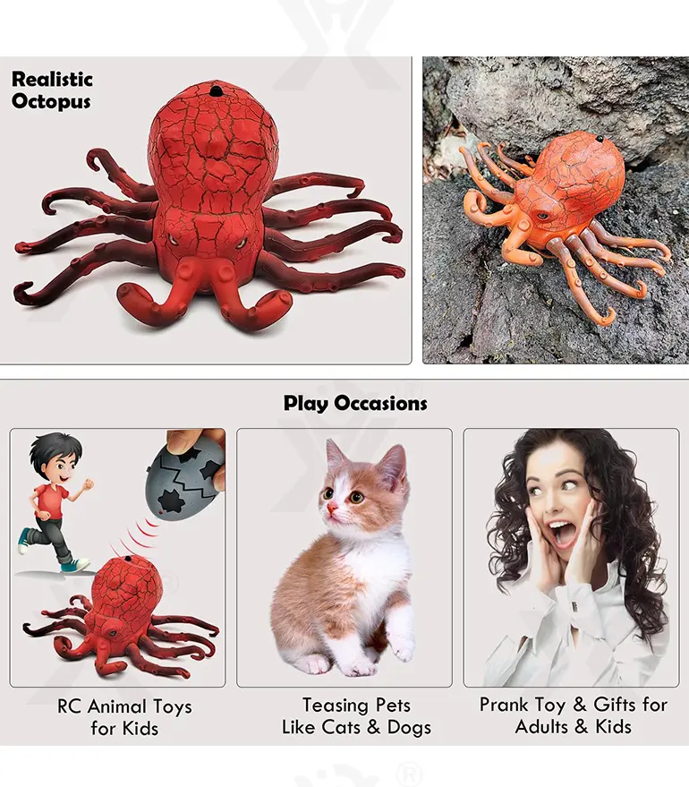 RC Octopus Toys, Fun RC Toys For Family Play (TB-4877376) — illustrated product details, panel 4