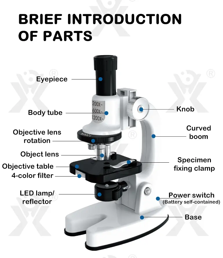 Optical Microscope Toy Set (TB-4062274) — illustrated product details, panel 11