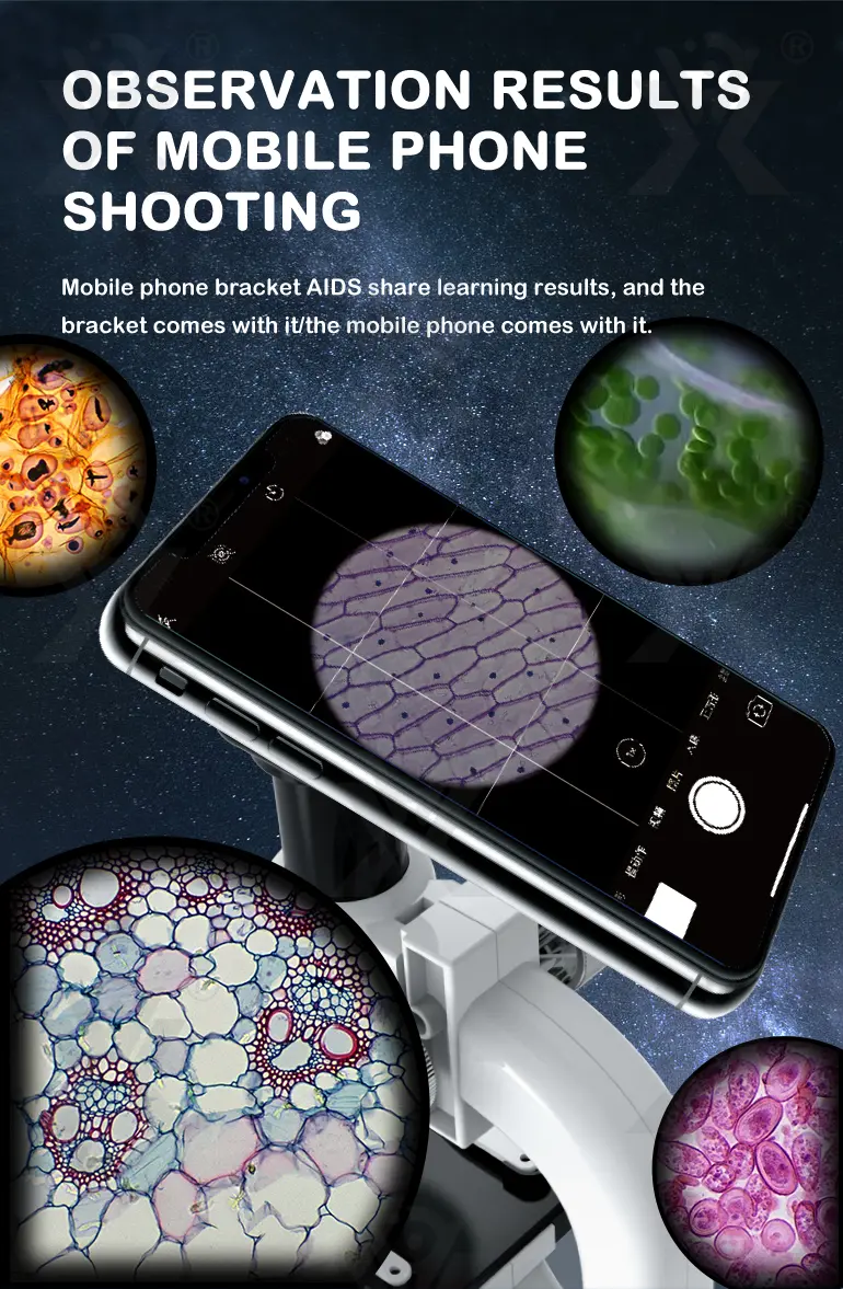 Optical Microscope Toy Set (TB-4062274) — illustrated product details, panel 3