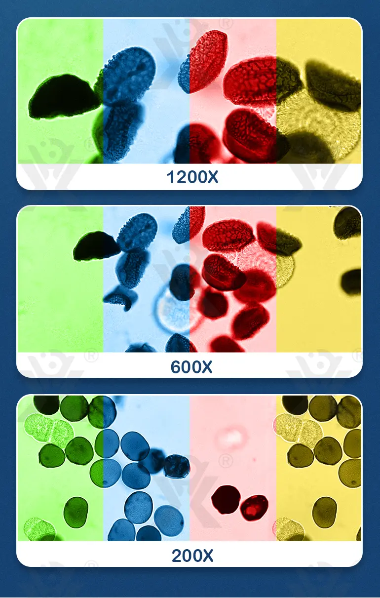 Optical Microscope Toy Set (TB-4062274) — illustrated product details, panel 5