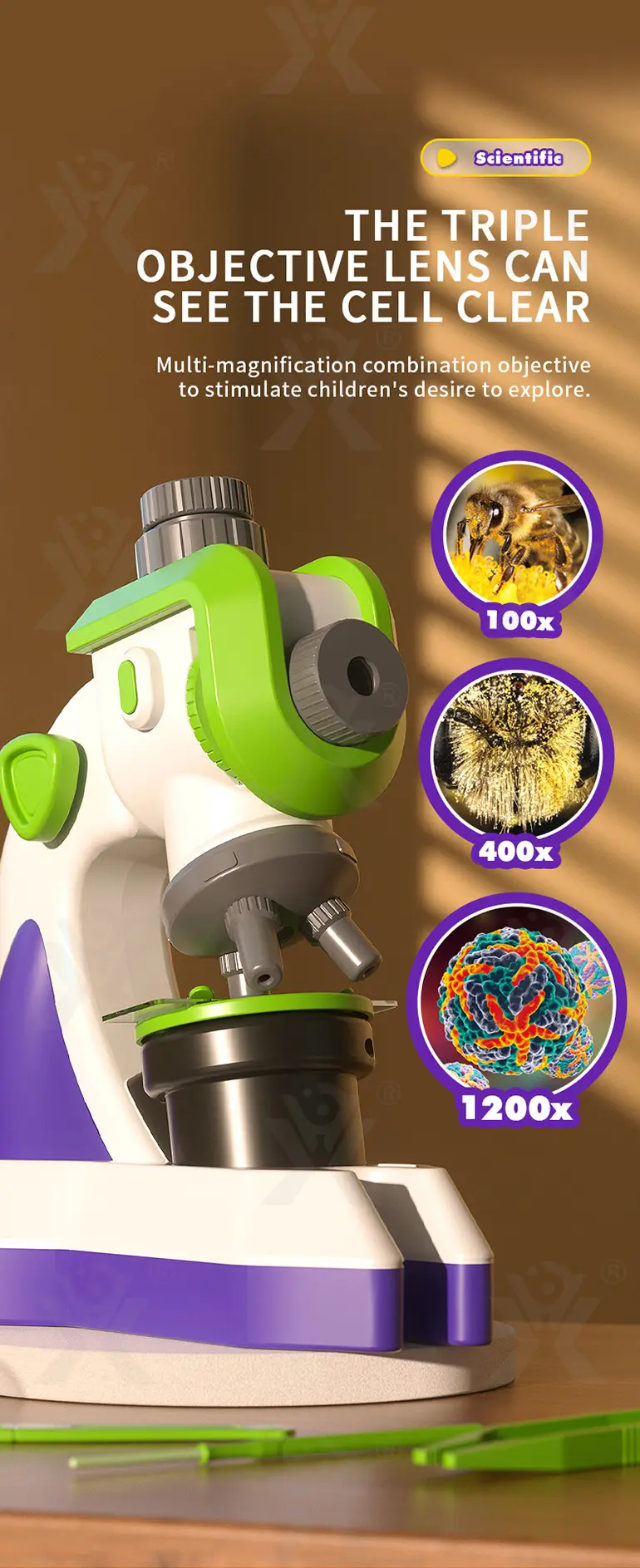 Science Slide Microscope Projector Kit (TB-4156254) — illustrated product details, panel 5