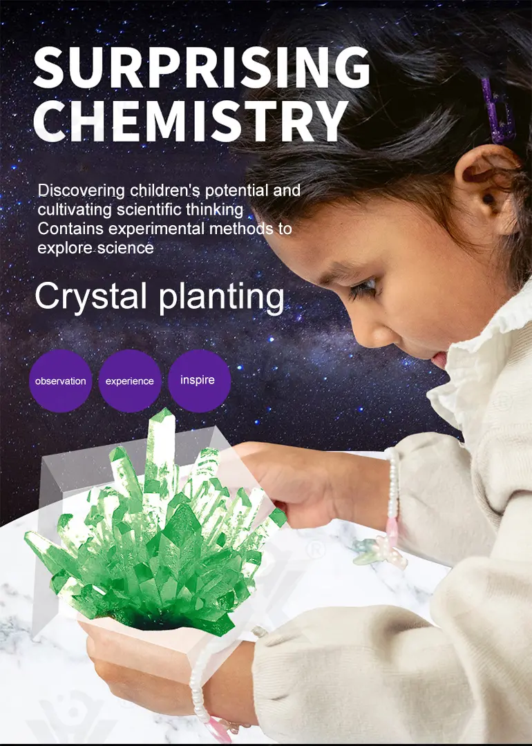 Crystal Planting Toys for Kids (TB-1542338) — illustrated product details, panel 1