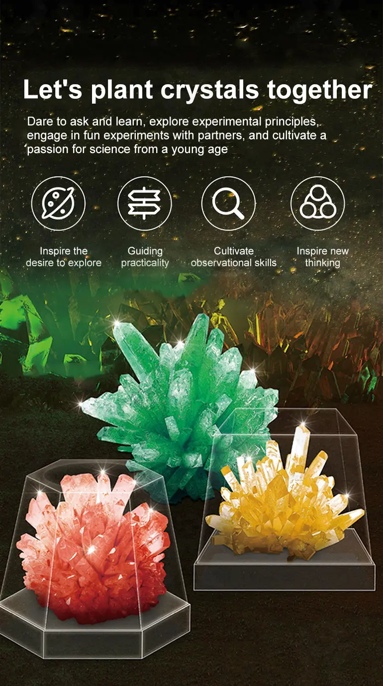 Crystal Planting Toys for Kids (TB-1542338) — illustrated product details, panel 2
