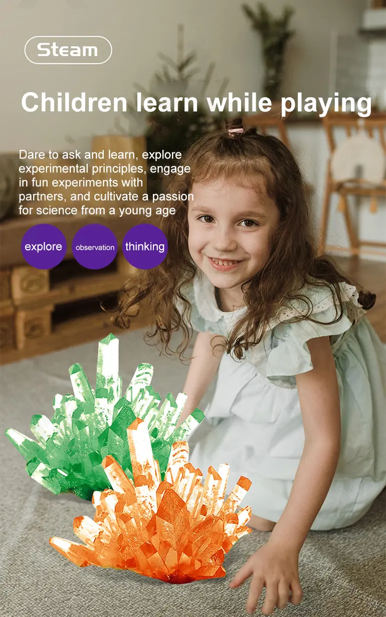 Crystal Planting Toys for Kids (TB-1542338) — illustrated product details, panel 3