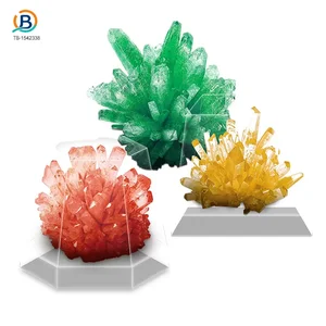 Wholesale Crystal Planting Toys for Kids – Chinese Wholesale Toy Suppliers