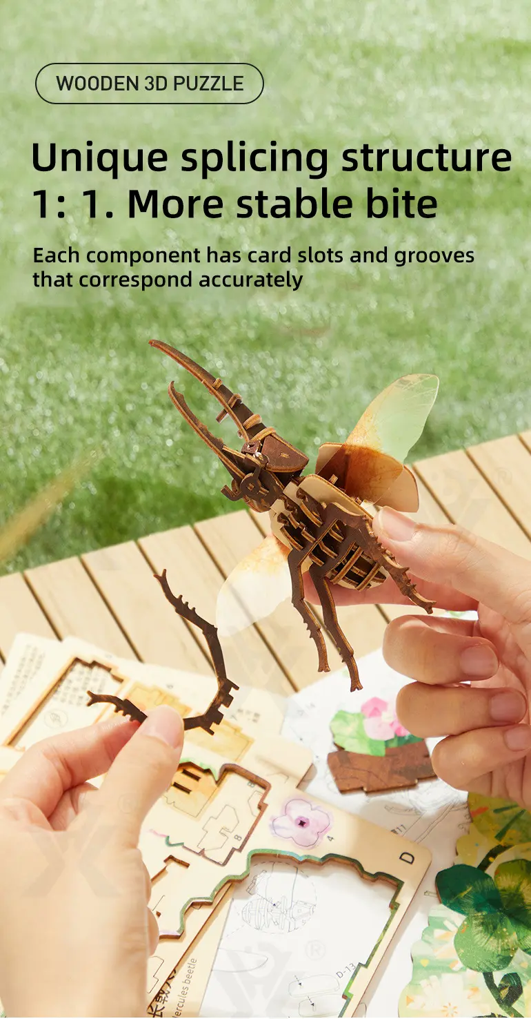 3D Wooden Puzzle Toy Series (TB-4275849) — illustrated product details, panel 2