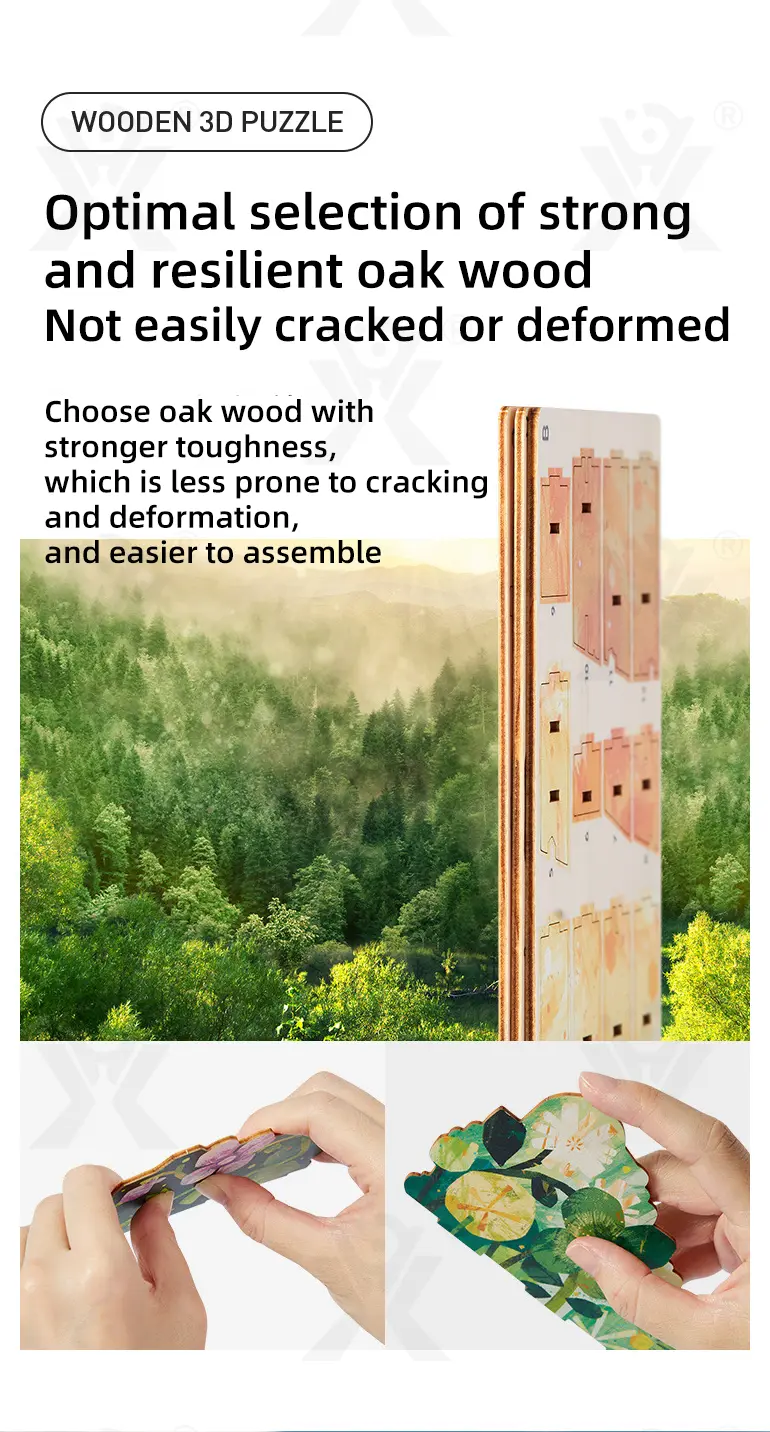 3D Wooden Puzzle Toy Series (TB-4275849) — illustrated product details, panel 3