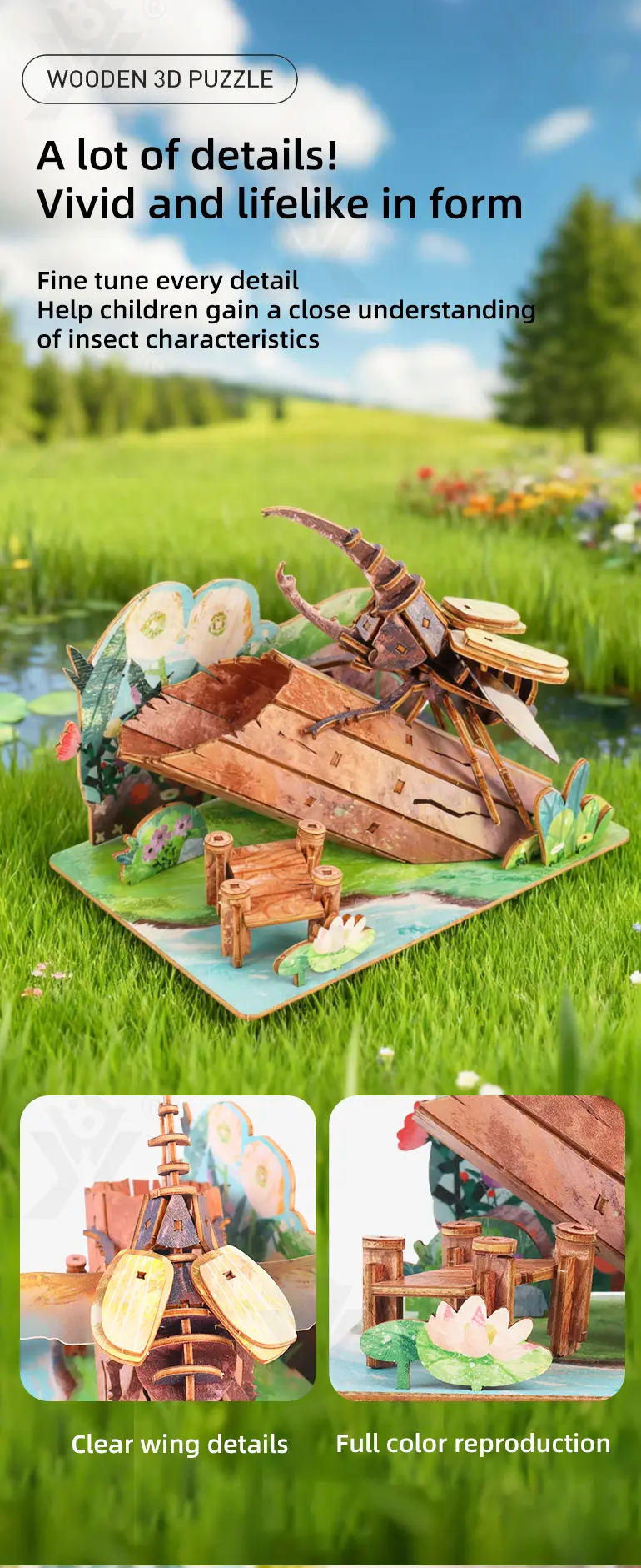 3D Wooden Puzzle Toy Series (TB-4275849) — illustrated product details, panel 4